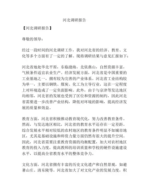 河北调研报告