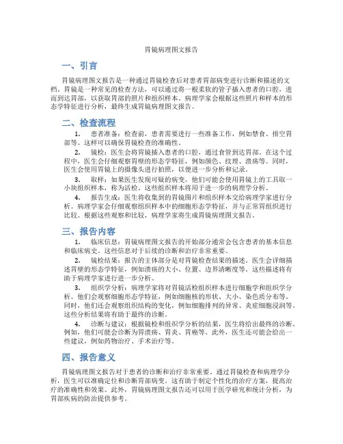 胃镜病理图文报告