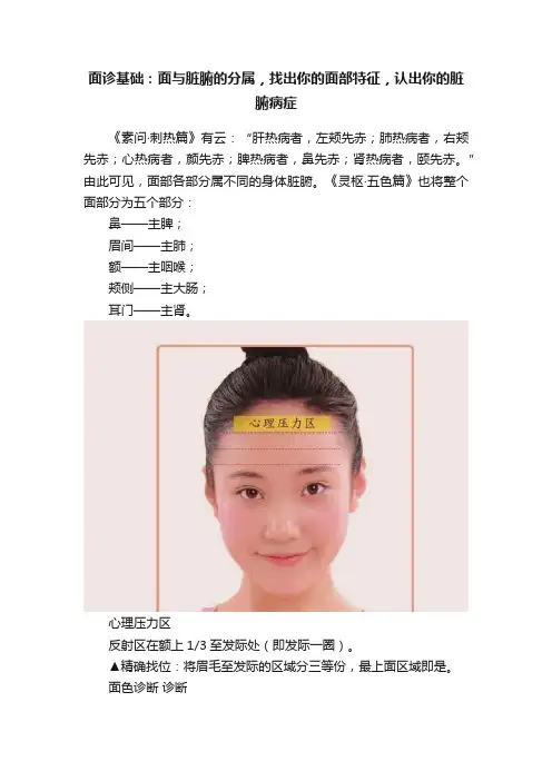 面诊基础：面与脏腑的分属，找出你的面部特征，认出你的脏腑病症