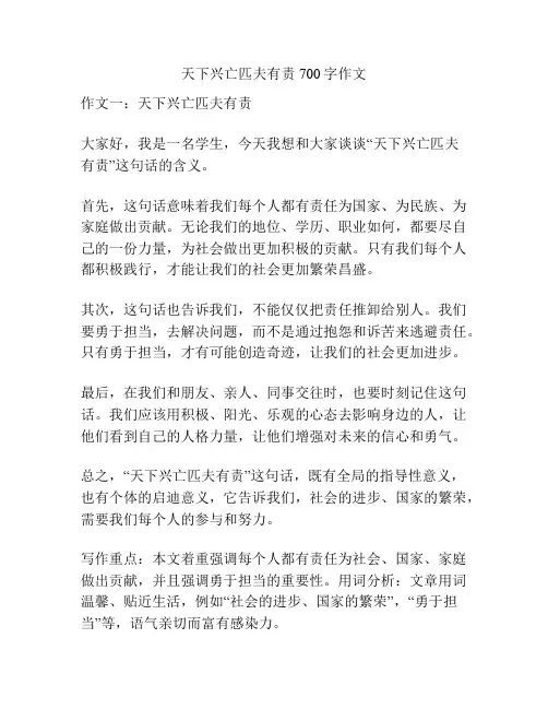 天下兴亡匹夫有责700字作文