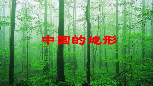 地理中考复习课题21：中国的地形(26张ppt)