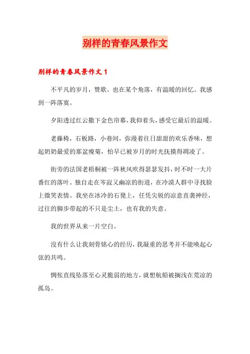 别样的青春风景作文