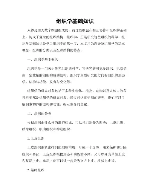 组织学基础知识