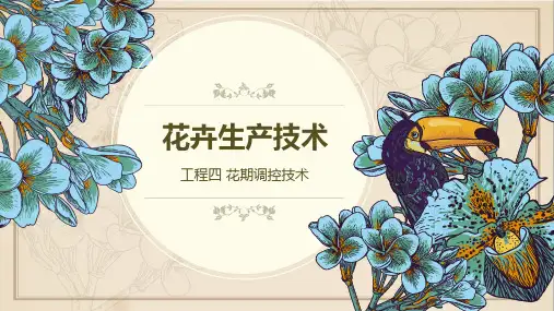 《花卉生产技术》教学课件 项目四 花期调控技术