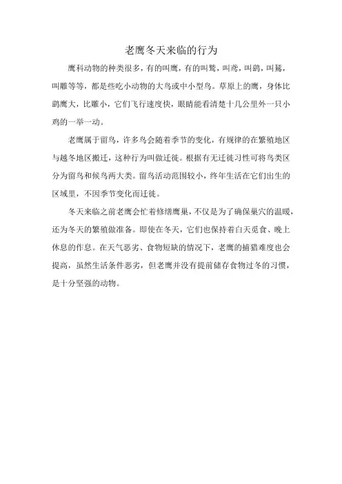 老鹰冬天来临的行为