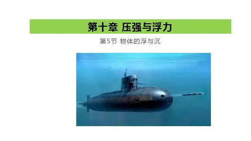 10.5 物体的浮与沉 —苏科版八年级物理下册课件