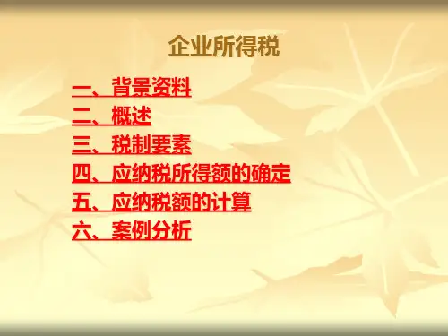企业所得税(PPT 55页)