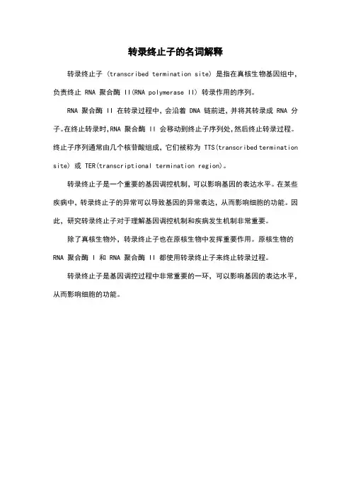 转录终止子的名词解释