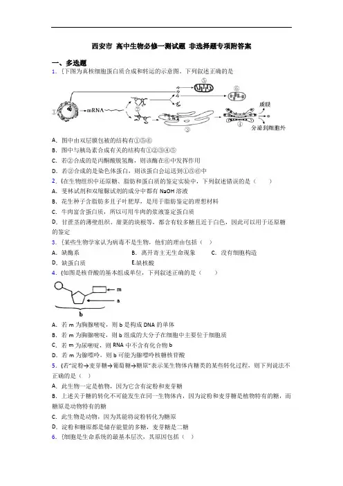 西安市 高中生物必修一测试题 非选择题专项附答案