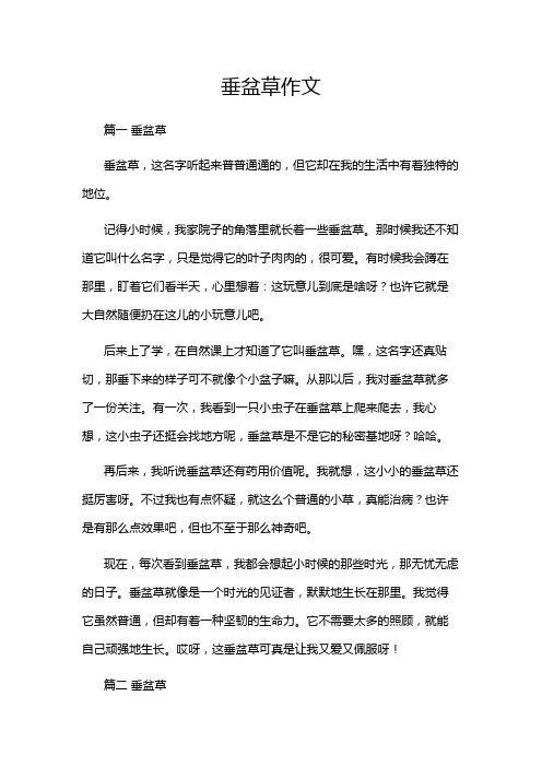 垂盆草作文