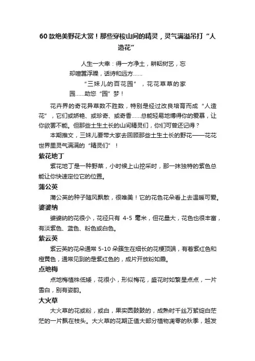 60款绝美野花大赏！那些穿梭山间的精灵，灵气满溢吊打“人造花”