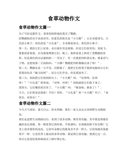 食草动物作文