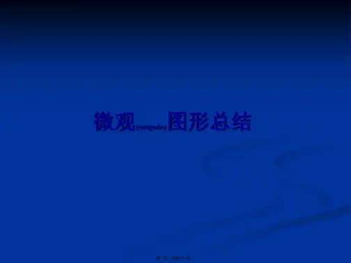 西方经济学 图形总结