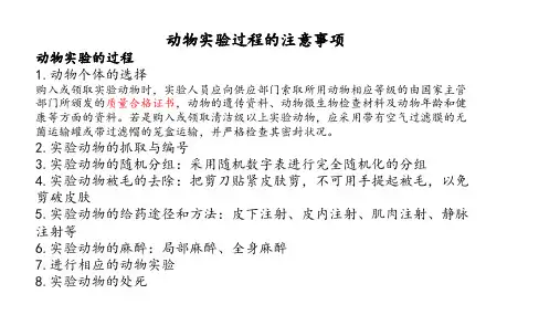 动物实验的过程及注意事项