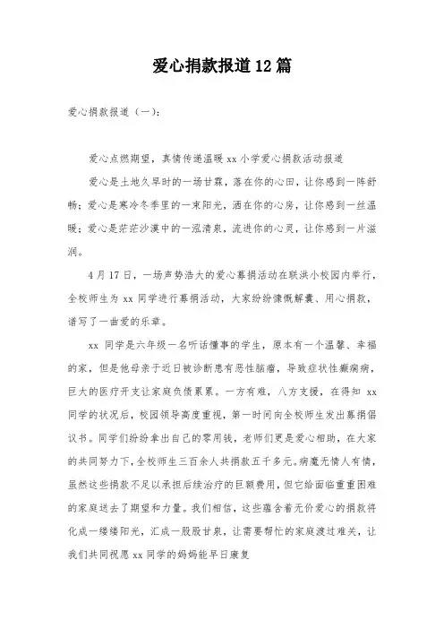 爱心捐款报道12篇