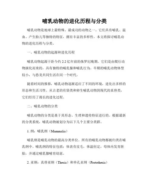 哺乳动物的进化历程与分类