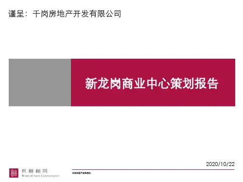 世联地产-深圳新龙岗商业中心营销策划报告51页