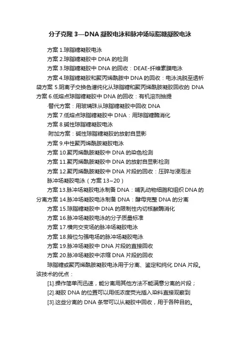分子克隆3—DNA凝胶电泳和脉冲场琼脂糖凝胶电泳