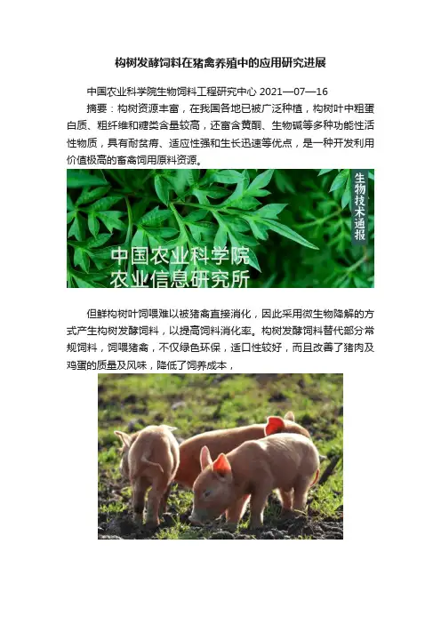 构树发酵饲料在猪禽养殖中的应用研究进展