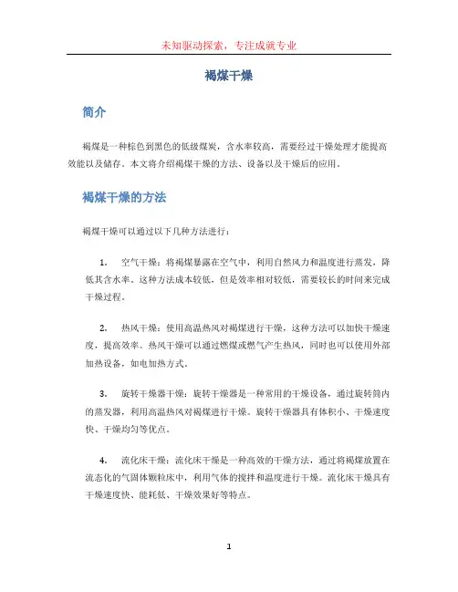 褐煤干燥 (3)