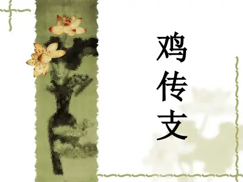 鸡传支