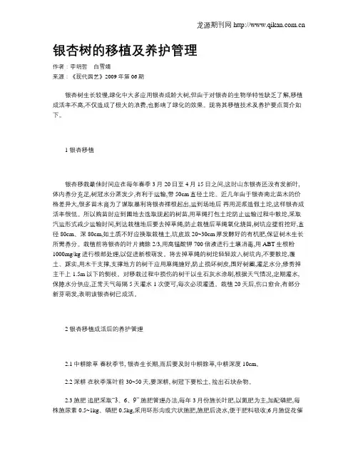 银杏树的移植及养护管理