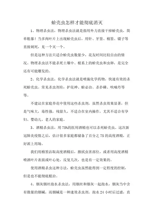 蚧壳虫怎样才能彻底消灭