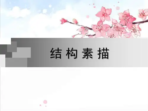 设计素描—结构素描精品PPT课件