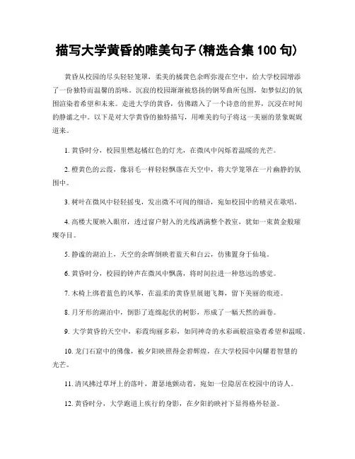 描写大学黄昏的唯美句子(精选合集100句)
