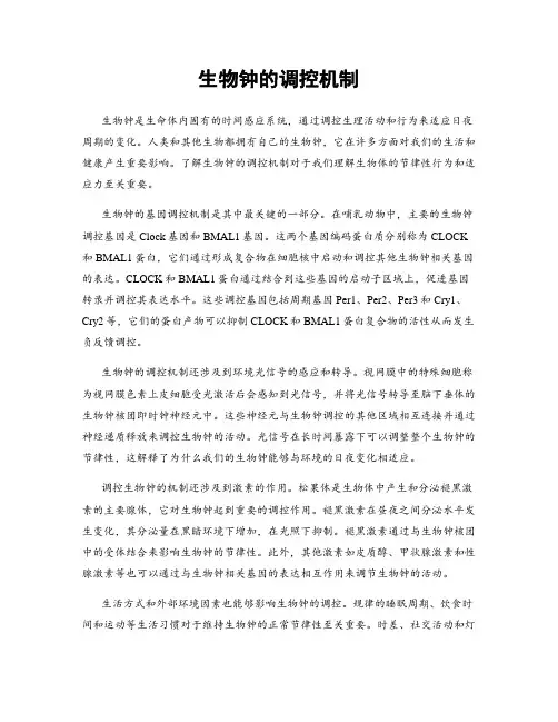 生物钟的调控机制