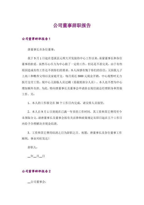 公司董事辞职报告_3