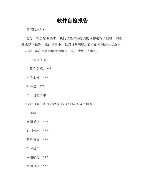 软件自检报告