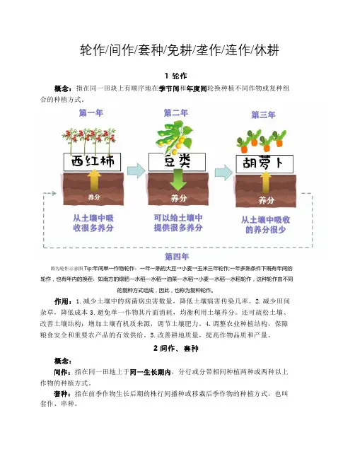 轮作间作套种免耕垄作连作休耕