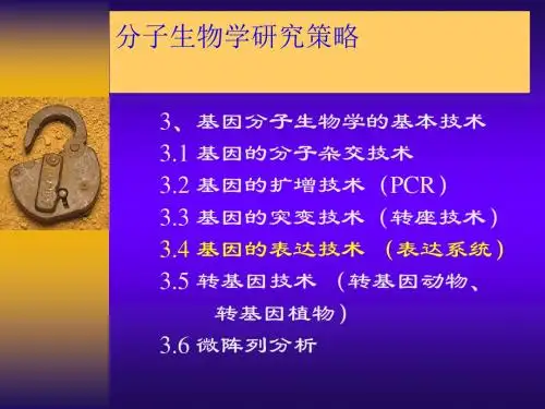 分子生物学研究策略-基因表达技术