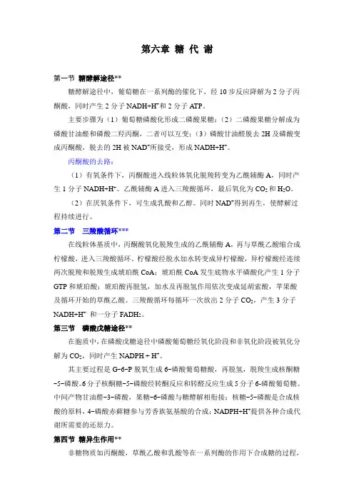 糖酵解途径