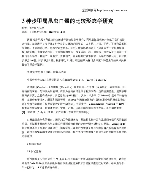 3种步甲属昆虫口器的比较形态学研究