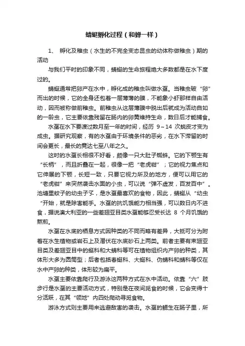 蜻蜓孵化过程（和蝉一样）
