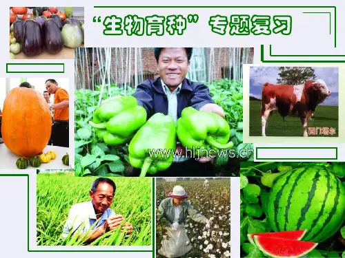 生物育种1