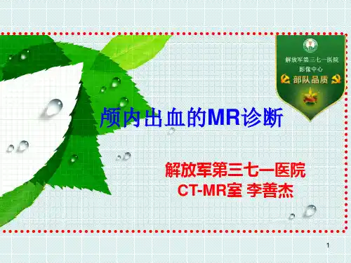 脑出血的MR诊断PPT课件