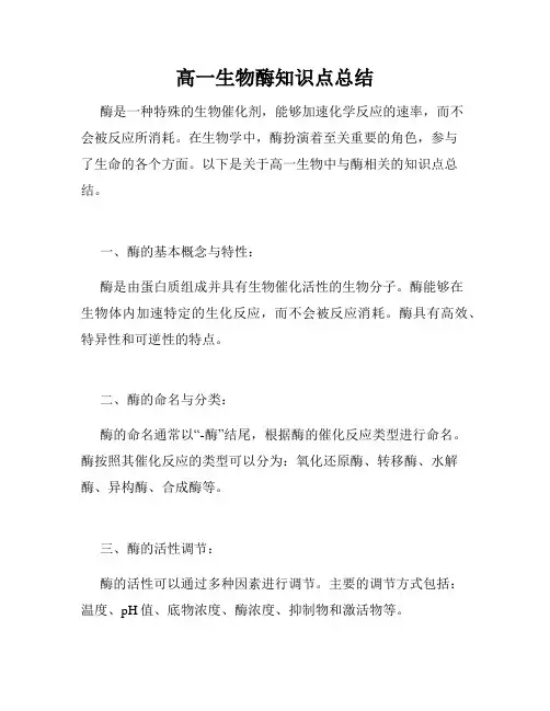高一生物酶知识点总结