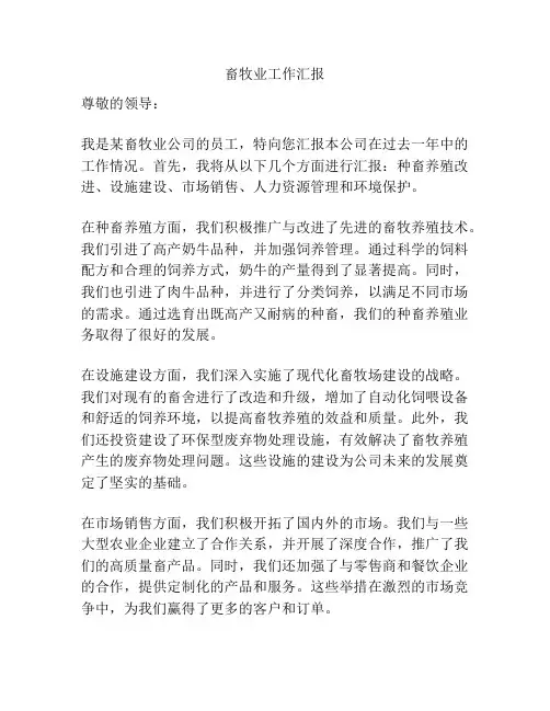 畜牧业工作汇报