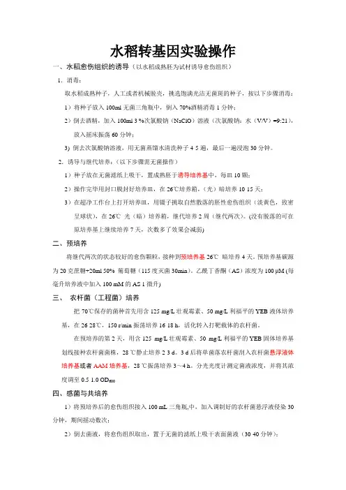 水稻转基因实验操作手册整理解析