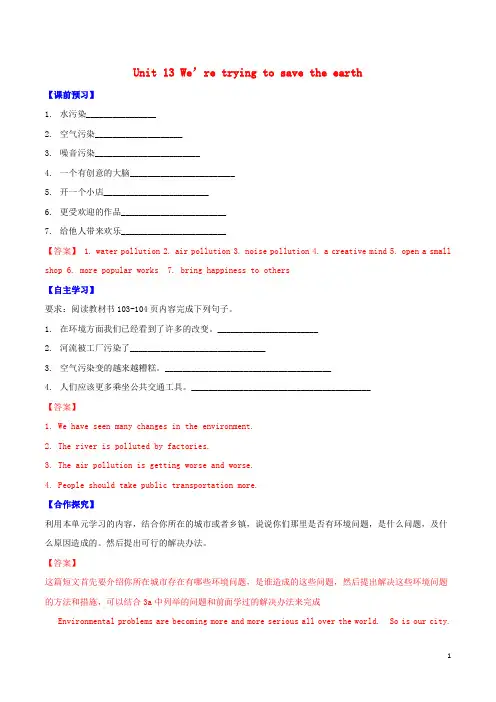 北大绿卡九年级英语全册 Unit 13 We’re trying to sa