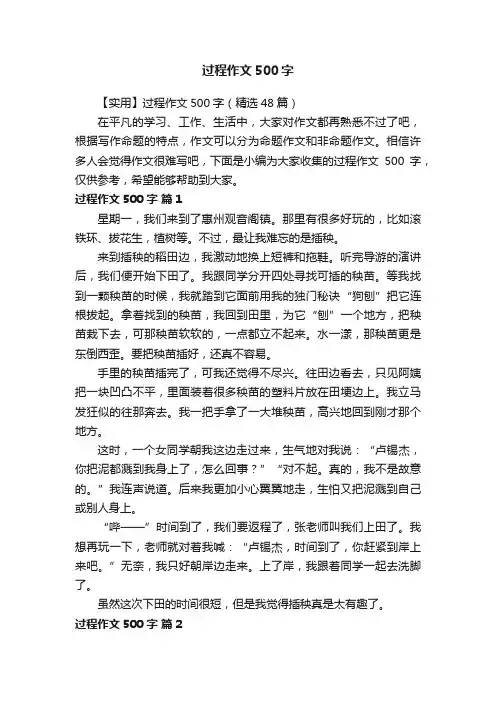 【实用】过程作文500字（精选48篇）