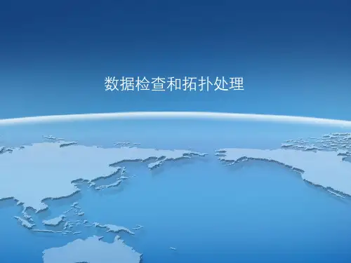 数据检查和拓扑处理概述