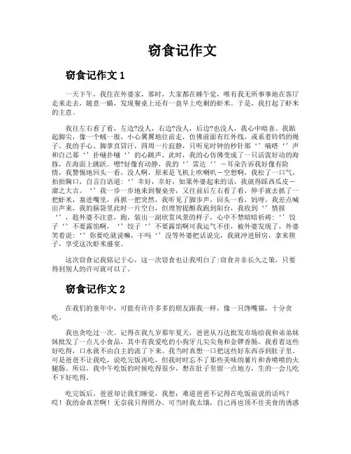 窃食记作文