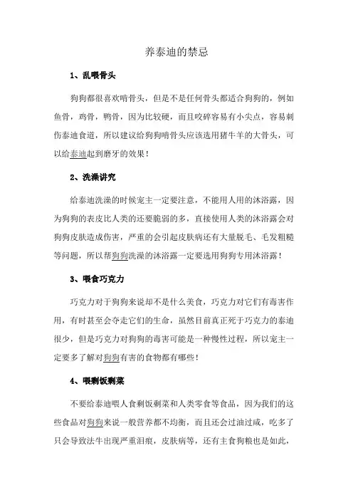 养泰迪的禁忌