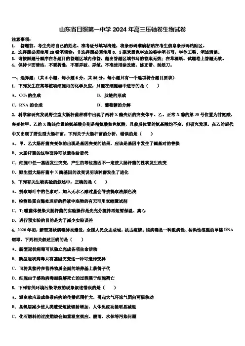 山东省日照第一中学2024年高三压轴卷生物试卷含解析