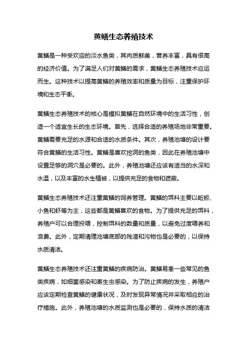 黄鳝生态养殖技术