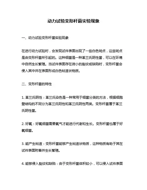 动力试验变形杆菌实验现象